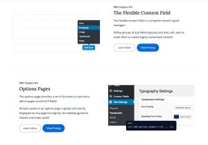 Advanced Custom Fields (ACF) Pro