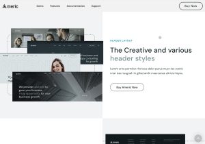 Americ – Corporate Business