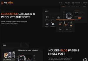 ProMotors – Car Service and Detailing